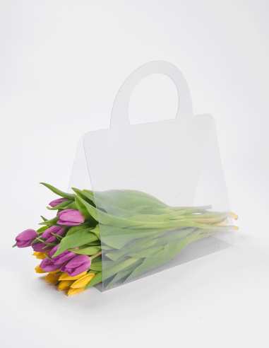 Sac en PVC Transparent (10 Unités)