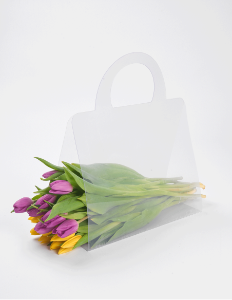 Sac en PVC Transparent (10 Unités)