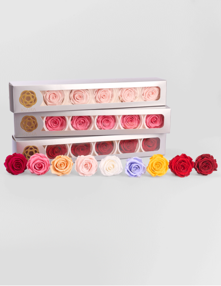 Têtes de Rose Stabilisée Kiara