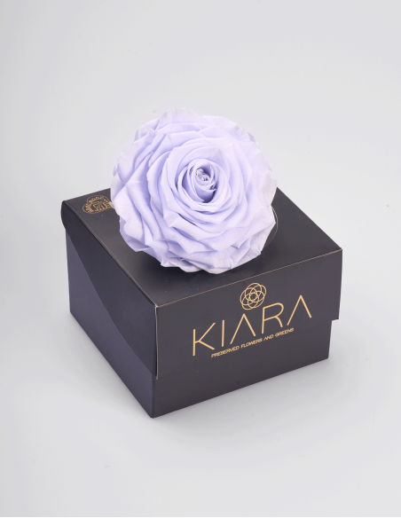 Roses Stabilisées Solitaire 10 cm | Ideefleur SL