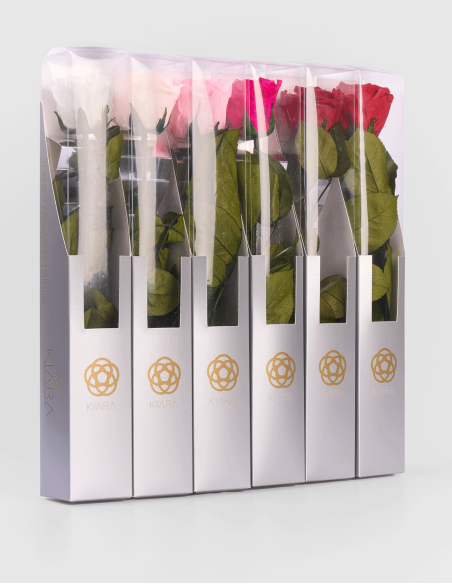 Rose Stabilisée Kiara avec Tige 35 cm | Ideefleur SL