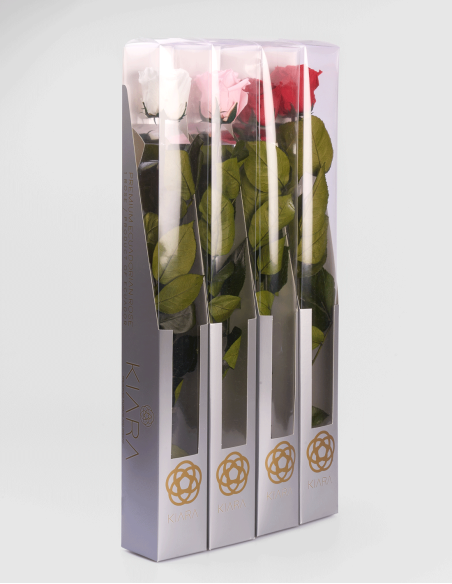 Rose Stabilisée Kiara avec Tige 55 cm | Ideefleur SL