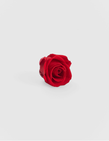 Petites têtes de roses stabilisées ou éternelles. (12 Unités)