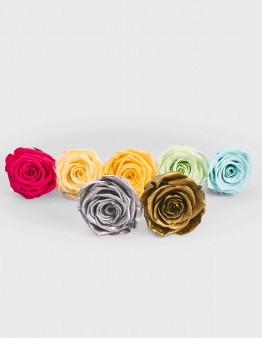 Roses Stabilisées 6 Unités/Pack 1,5€ Unité