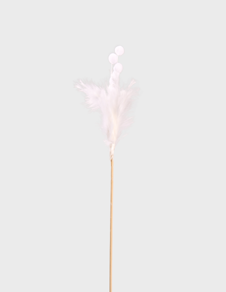 Pique Plumes
