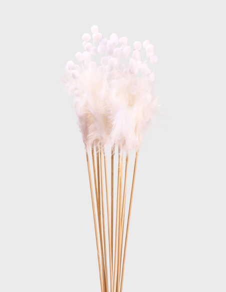 Pique Plumes