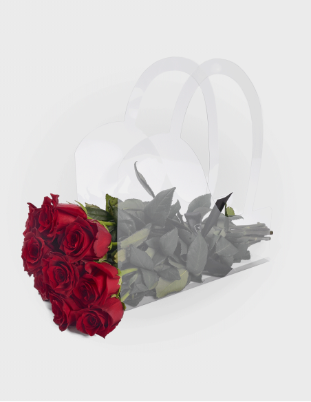 Sac en PVC Transparent Nº4 (10 Unités)