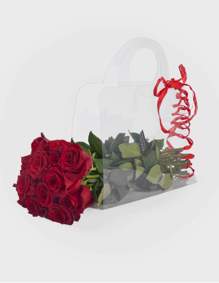 Sac en PVC Transparent Nº4 (10 Unités)