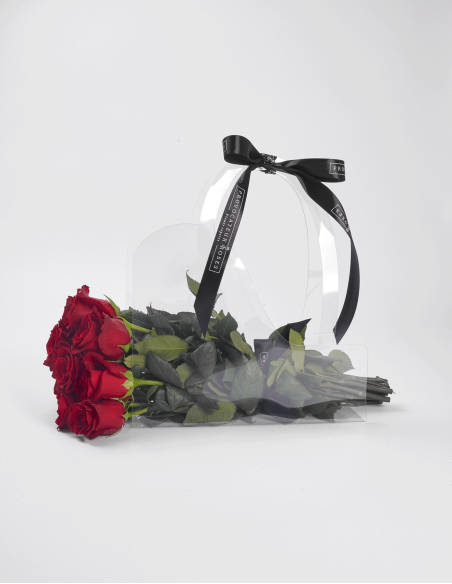 Sac en PVC Transparent Nº3 (10 Unités)