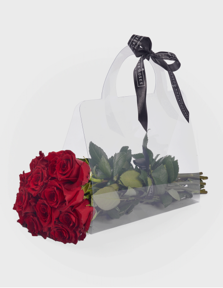 Sac en PVC Transparent Nº1 (10 Unités)