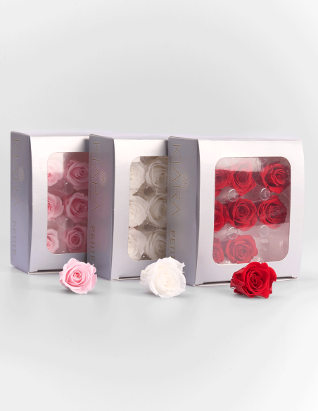 Petites têtes de Roses Stabilisées ou Eternelles. (9 Unités) | Ideefleur SL
