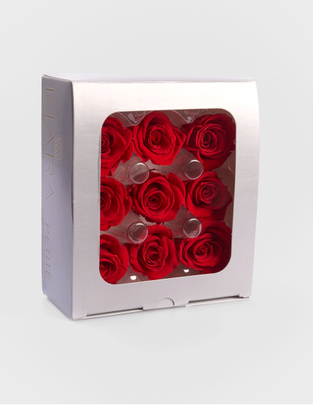 Rosa Preservada Petite Roja (9 Unds.)