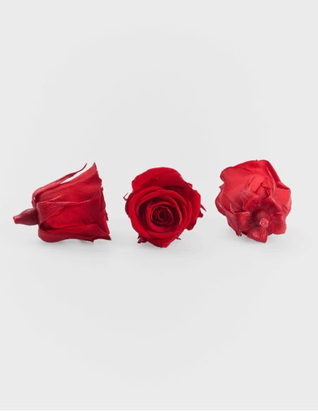 Rosa Preservada Petite Roja (9 Unds.)