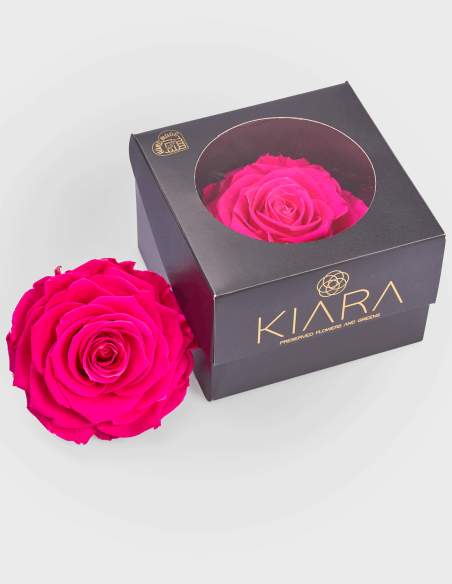 Roses Stabilisées Solitaire 10 cm | Ideefleur SL