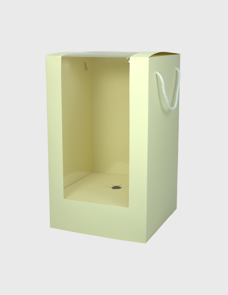 Caja para Ramos Beis