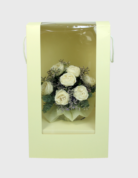 Caja para Ramos Beis