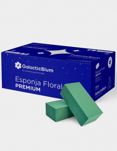 Esponja para Flores Naturales - GalacticBlum Premium (20...