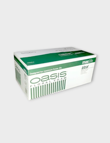 Mousse Oasis