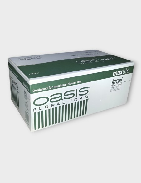 OASIS - 20 ZIEGEL STECKMASSE FÜR SCHNITTBLUMEN