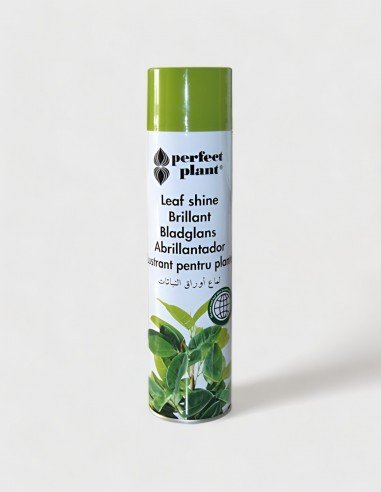 Lustrant pour Fleurs Naturelles Perfect Plant 600 ml