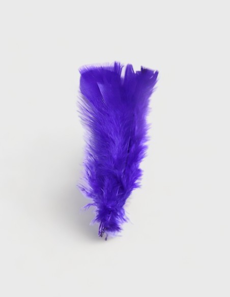 Lot de 5 plumes