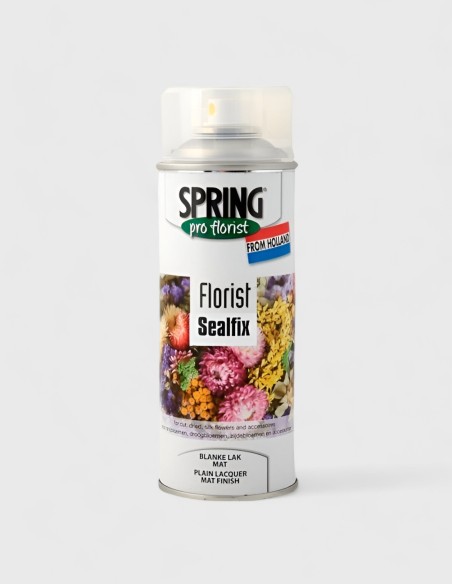 SPRAY DE LAQUE BRILLANTE SEAL FIX
