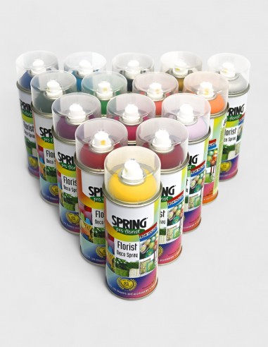 Flacon de peinture en aérosol pour fleur naturelle SPRING