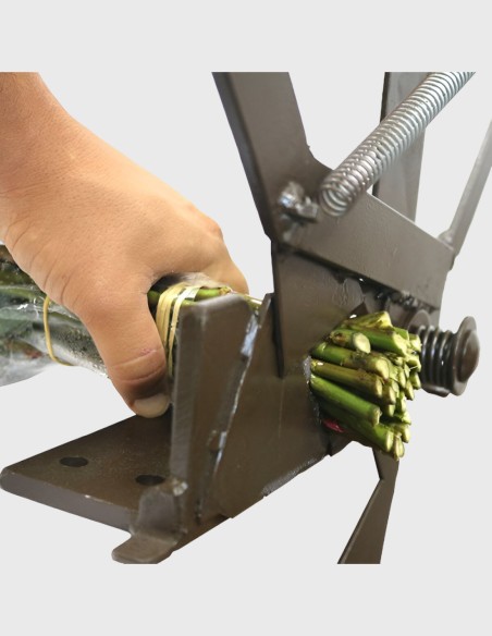 Guillotine en Metal pour Fleurs