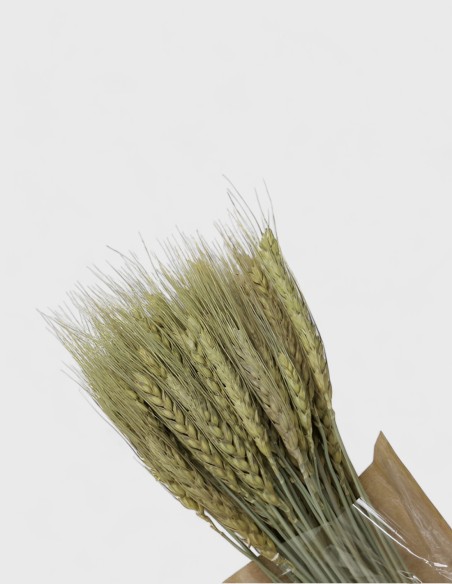 Ornement Épi de Blé - Naturelles séchées.
