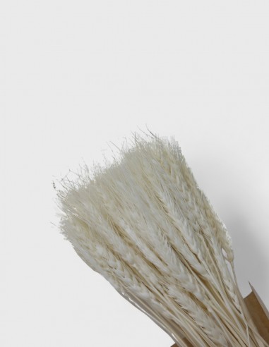 Ornement Épi de Blé - Naturelles