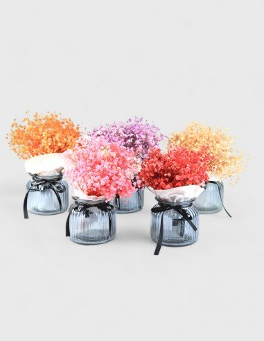 Gypsophile Stabilisé avec Vase en Verre