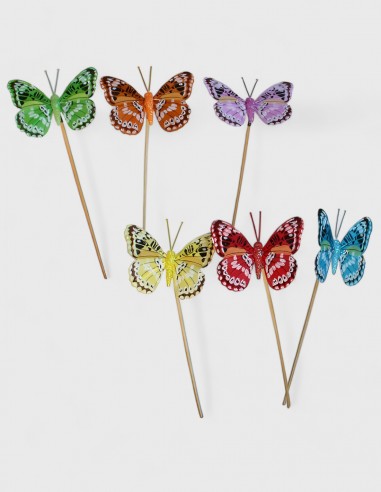 Pique Papillon Lucina