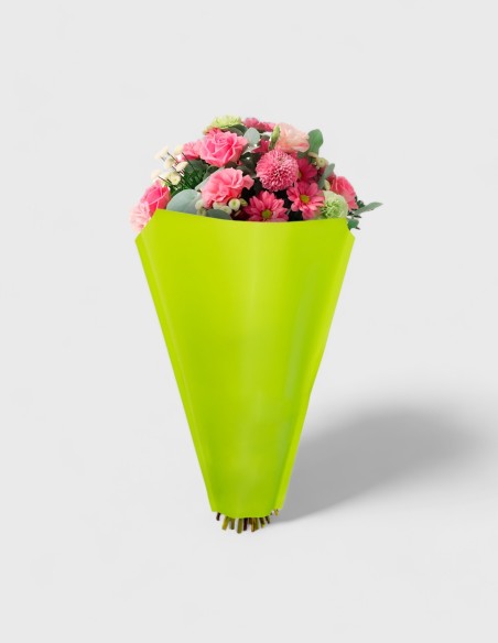 Housses pour Bouquet Kraft Couleurs