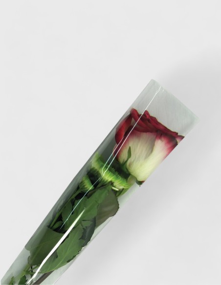 Housses à Roses Modèle Transparent