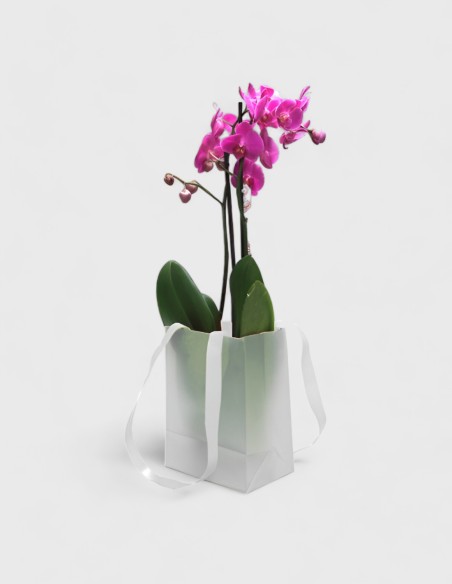 Sac cadeau en polyéthylène