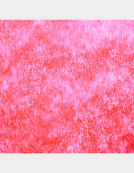 Rouleau Non Woven (Non Tissé - 70 cm x 50 m)