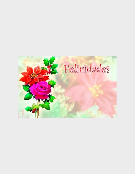 TARJETAS BRILLO MODELO SURTIDO 1
