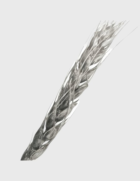 Ornement Épi de Blé - Naturelles séchées.
