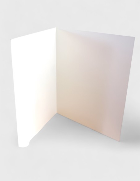 TARJETAS LIBROS SET1 (60PCS/CAJA)