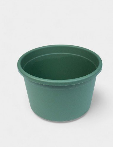 Tarrina Plastico Verde