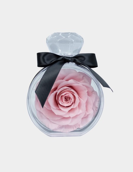 Diamond Rose | Ideefleur SL