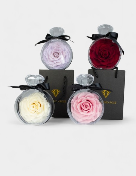 Diamond Rose | Ideefleur SL