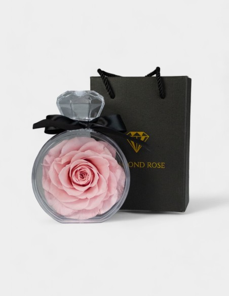 Diamond Rose | Ideefleur SL