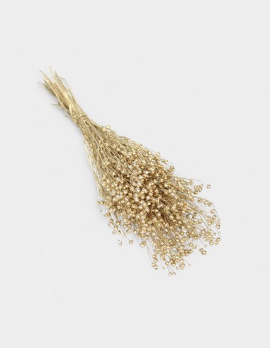 Bouquet de Lin