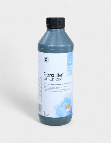 OASIS - FLORALIFE Quick Dip 100
