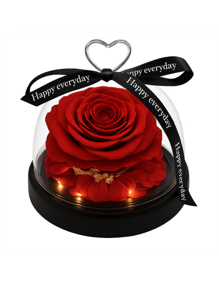 Dôme Rose Rouge avec Lumière