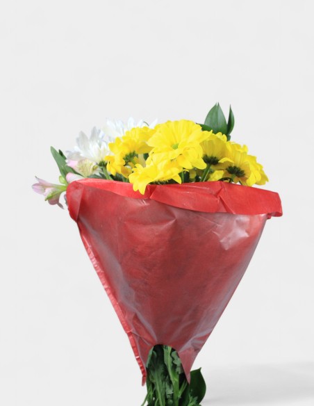 Housse pour Bouquet Peta