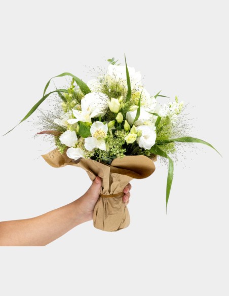 Feuille de Trempage FreshBag