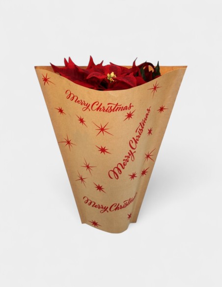 Housse Kraft Plantes Merry Christmas