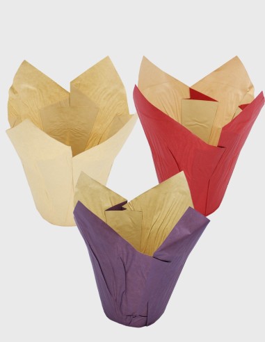 Cache-Pot Papier